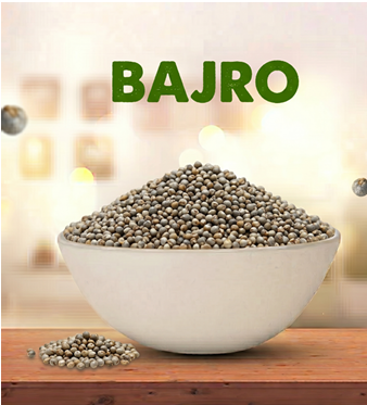 Bajro (Pearl Millet)